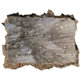 samoprzylepna-naklejka-na-sciane-nasiona-dmuchawca