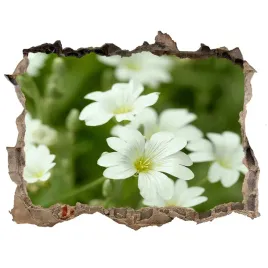 samoprzylepna-naklejka-na-sciane-wiosenne-kwiaty