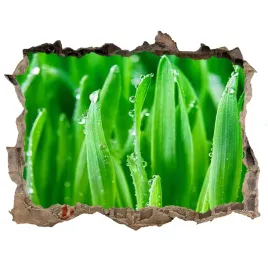samoprzylepna-naklejka-na-sciane-fototapeta-trawa
