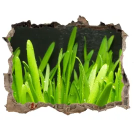 samoprzylepna-naklejka-na-sciane-fototapeta-trawa