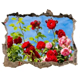 samoprzylepna-naklejka-scienna-dzikie-roze-168x113