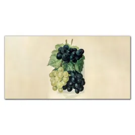 panel-szklo-kuchnia-owoce-winogrona-liscie-100x50