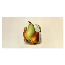 panele-szklo-hartowane-owoce-gruszki-liscie-100x50