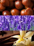 woda-perfumowana-yodeyma-wow-scent-50-ml-grupa-zapachowa-paprociowa