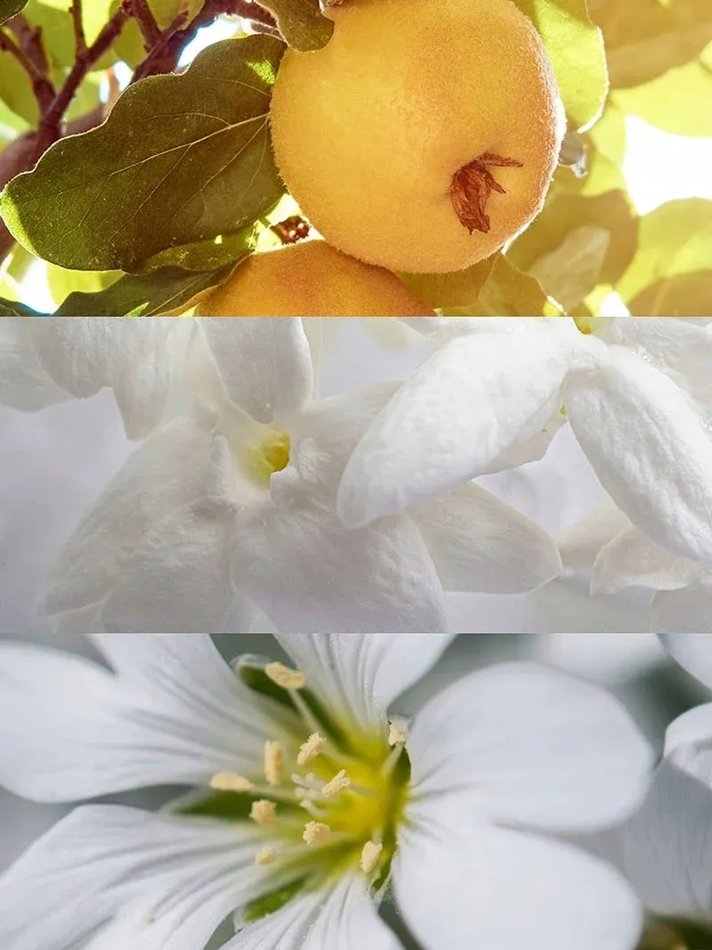 perfumy-yodeyma-for-you-owocowe-100-ml
