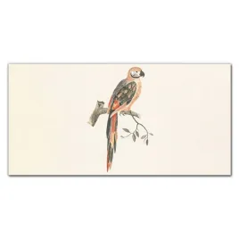 lacobel-panel-kuchnia-zwierze-ptak-oddzial-100x50