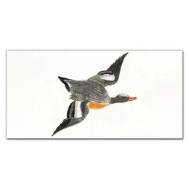 panel-kuchenny-laminowany-zwierze-ptak-100x50-cm