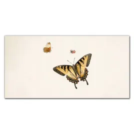 panel-scienny-do-kuchni-szklo-owad-motyl-100x50-cm