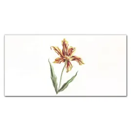 szklo-lacobel-do-kuchni-kwiaty-rosliny-100x50-cm