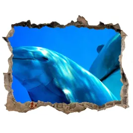 dziura-3d-fototapeta-scienna-dwa-delfiny-168x113