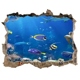 dziura-3d-fototapeta-scienna-rafa-koralowa-168x113