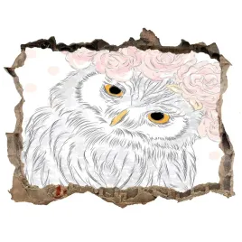 dziura-3d-fototapeta-scienna-sowa-w-wianku-168x113
