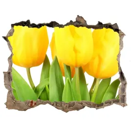 samoprzylepna-dziura-na-sciane-zolte-tulipany