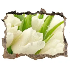 samoprzylepna-dziura-na-sciane-biale-tulipany