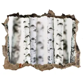 fototapeta-naklejka-na-sciane-pnie-brzozy-168x113
