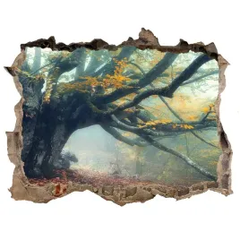 fototapeta-naklejka-na-sciane-stare-drzewo-168x113