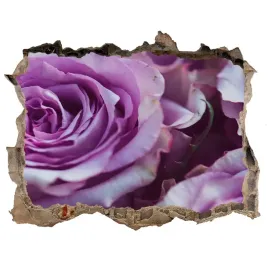 fototapeta-naklejka-scienna-fioletowe-roze-168x113