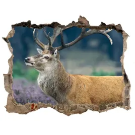 fototapeta-dziura-na-sciane-jelen-wsrod-lawendy