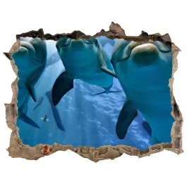 dziura-fototapeta-na-sciane-trzy-delfiny-168x113
