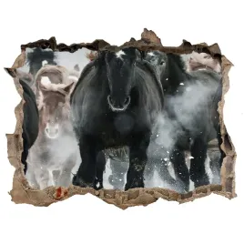 fototapeta-dziura-scienna-konie-w-galopie-168x113