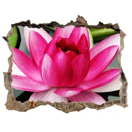 samoprzylepna-naklejka-fototapeta-lilia-wodna