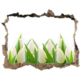 samoprzylepna-naklejka-fototapeta-biale-tulipany