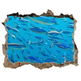 dziura-3d-okleina-naklejka-koralowe-ryby-168x113