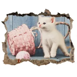 dziura-3d-fototapeta-scienna-bialy-kot-i-motki