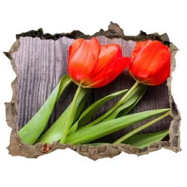 samoprzylepna-naklejka-czerwone-tulipany-168x113