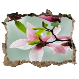 samoprzylepna-naklejka-fototapeta-magnolia-168x113
