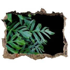samoprzylepna-naklejka-fototapeta-monstera-168x113