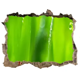 samoprzylepna-naklejka-fototapeta-mlody-owies