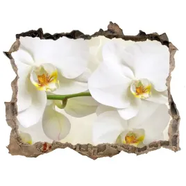 samoprzylepna-naklejka-fototapeta-orchidea-168x113
