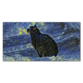 panel-kuchenny-laminowany-kot-noc-gwiazdy-100x50