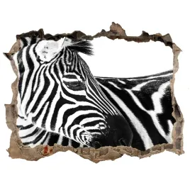 dziura-3d-okleina-naklejka-zebra-w-sniegu-168x113