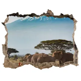 dziura-3d-fototapeta-slonie-kilimandzaro-168x113