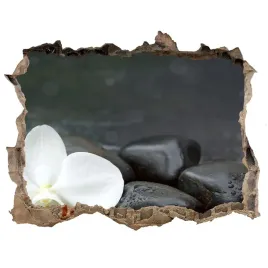 samoprzylepna-naklejka-fototapeta-orchidea-168x113
