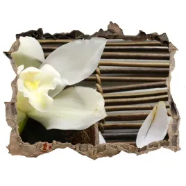 fototapeta-naklejka-na-sciane-fototapeta-orchidea