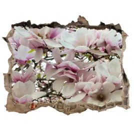 samoprzylepna-naklejka-fototapeta-kwiaty-magnolii