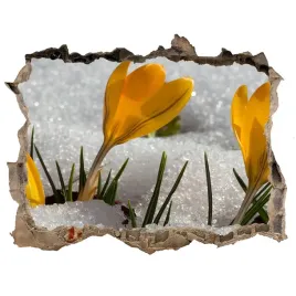 samoprzylepna-naklejka-fototapeta-krokusy-w-sniegu