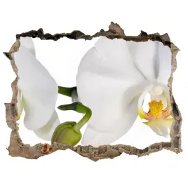 samoprzylepna-naklejka-fototapeta-orchidea-168x113