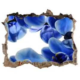 fototapeta-naklejka-na-sciane-niebieska-orchidea