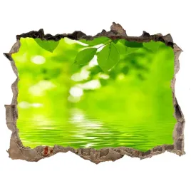 samoprzylepna-naklejka-na-sciane-zielone-liscie