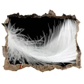fototapeta-dziura-scienna-naklejka-piorko-168x113
