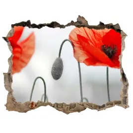 samoprzylepna-naklejka-na-sciane-fototapeta-maki