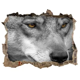 dziura-fototapeta-sticker-naklejka-wilk-168x113