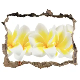 samoprzylepna-naklejka-fototapeta-plumeria-168x113