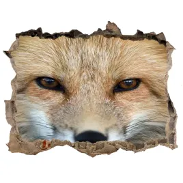 dziura-3d-fototapeta-scienna-naklejka-lis-168x113