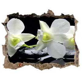 samoprzylepna-naklejka-fototapeta-orchidea-168x113