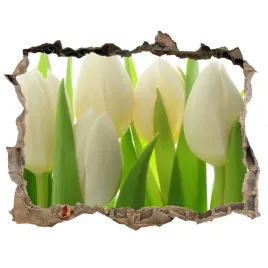 samoprzylepna-naklejka-fototapeta-tulipany-168x113